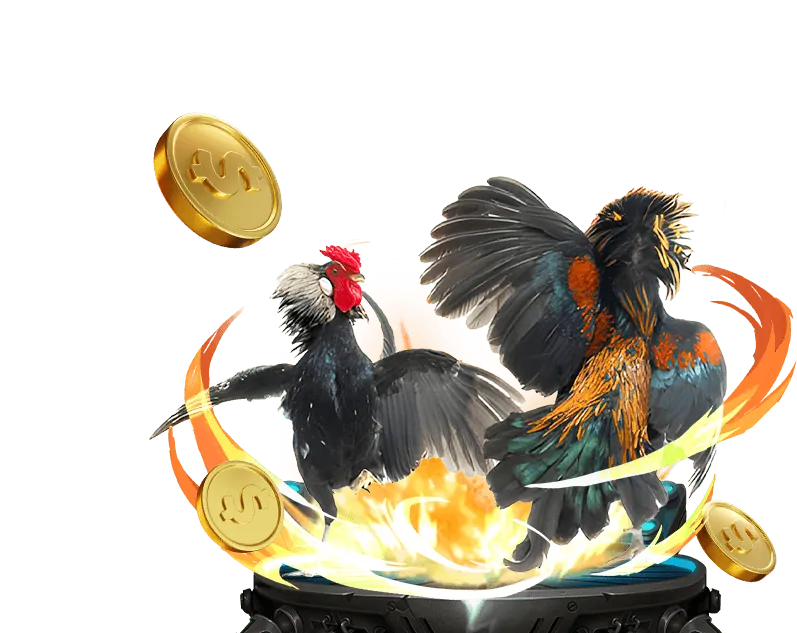 Hướng dẫn đặt cược đá gà trực tuyến