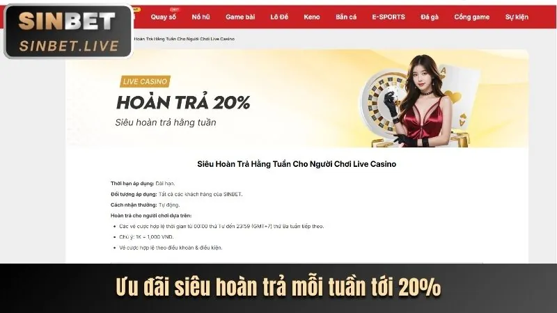 Hoàn trả hấp dẫn từ cá cược đá gà và casino